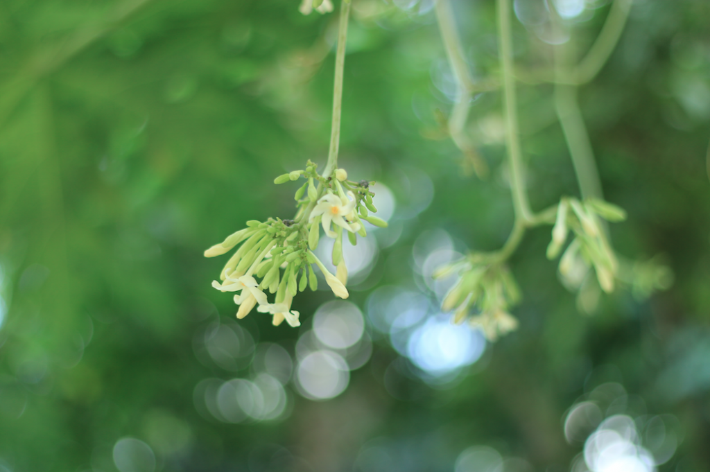 Screen Shot 2557-10-02 at 7.05.03 PM