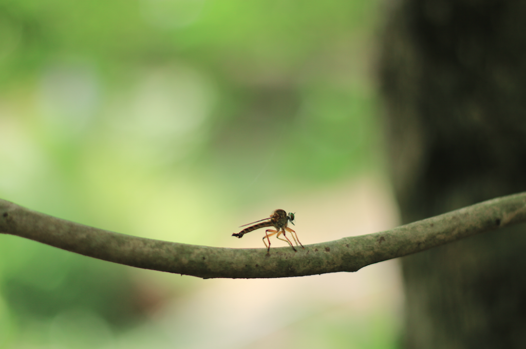 Screen Shot 2557-10-02 at 7.09.26 PM