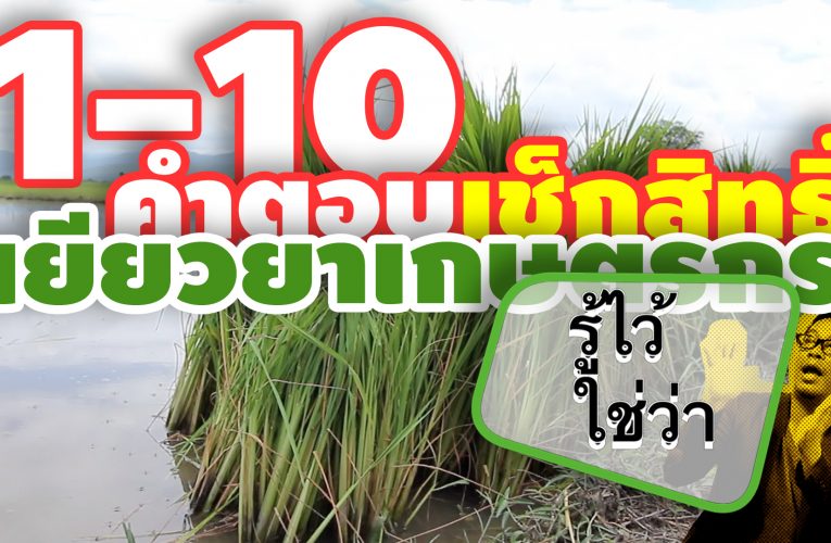 ถามตอบ เช็กสิทธิ์ #เยียวยาเกษตรกร 15,000 | รู้ไว้ใช่ว่า ep.9-10 |